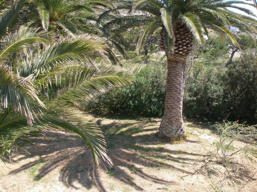 Апарт отель Avra Palm Иерапетра Экстерьер фото